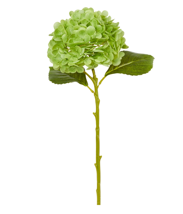 19" Green Hydrangea