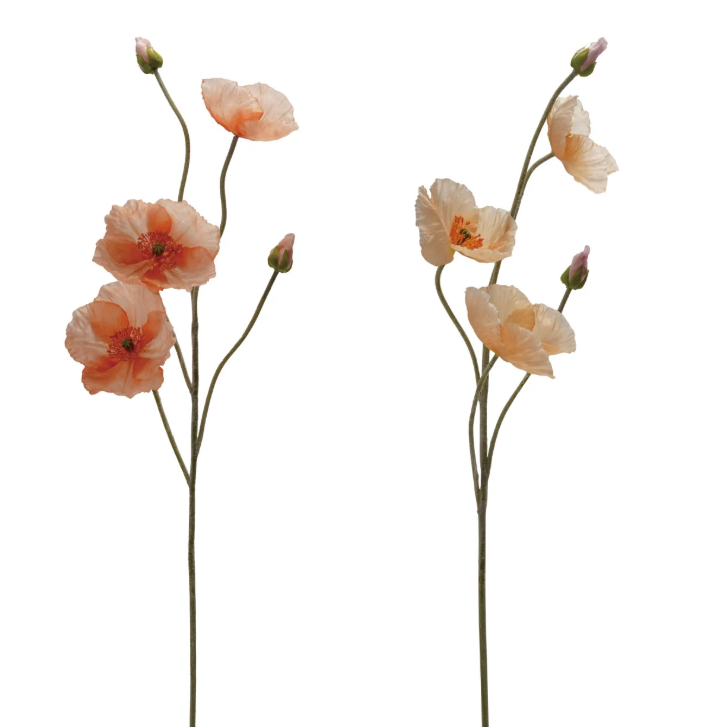 Poppy Flower
