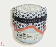 New Leaf Aurora Candle