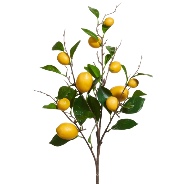 36" Lemon Spray