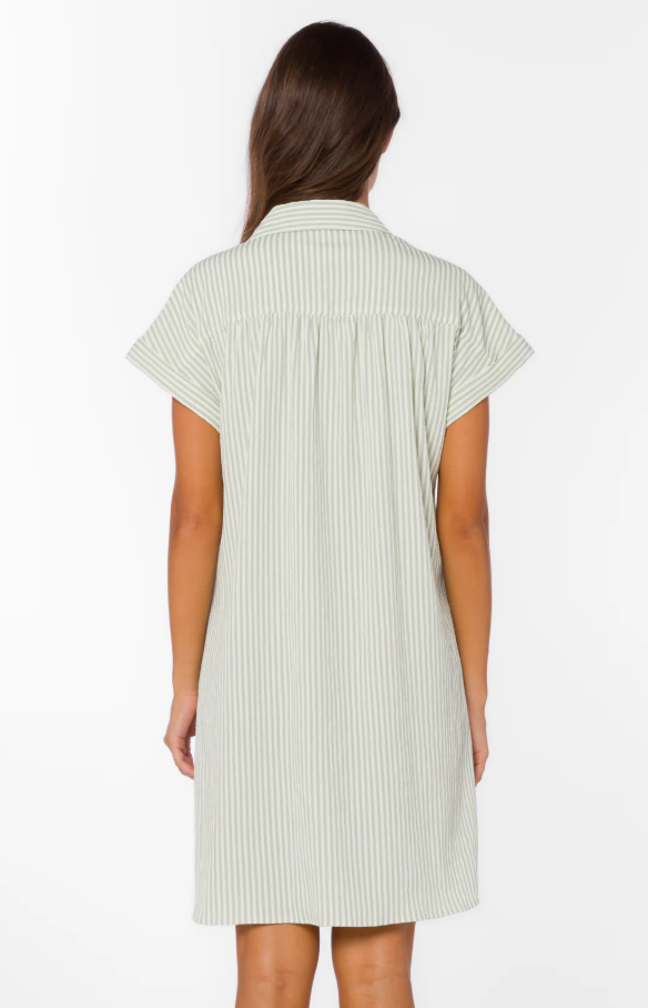 Merilee Sage Stripe Dress