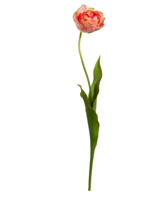 27" Orange Tulip Stem