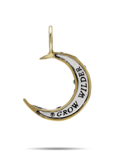 Wild Moon Pendant