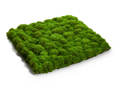 20" Moss Mat