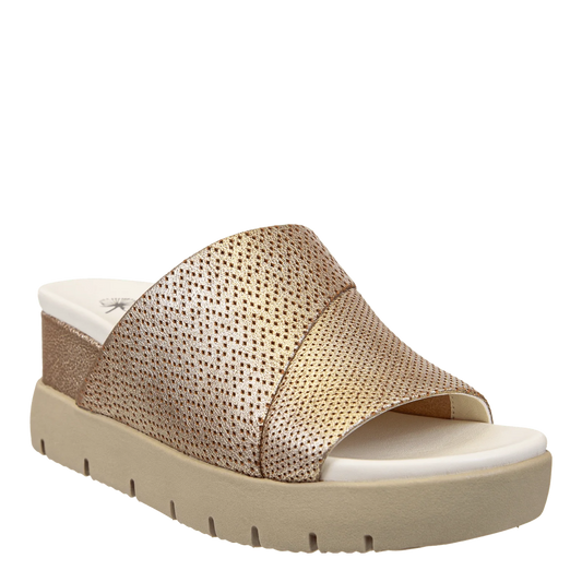 Gold Norm Shoes